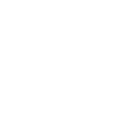 Solventis logo