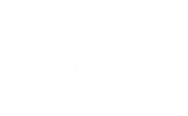 Solventis name